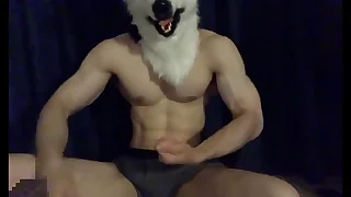 330 muscular porn videos