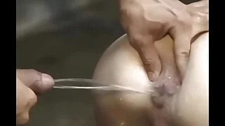 438 suck porn videos